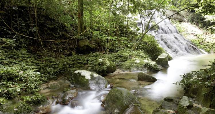 Malaisie Sarawak : maisons longues Iban et orangs-outans sauvages (privé sur mesure) - Odynovo 6