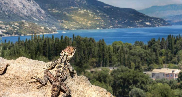 Corfu Sailing Tour - sailwithus 3