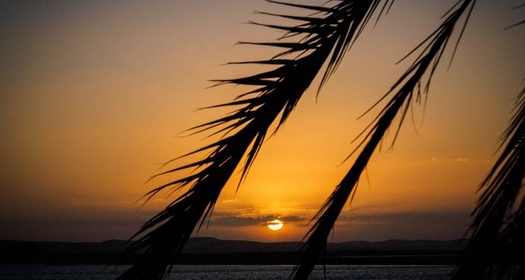 Odyssée de l'oasis de Siwa : Une histoire intemporelle des merveilles du désert. - Sun Pyramid Tours 9