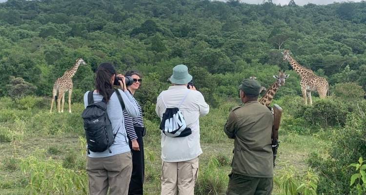 7 Days Luxury Tanzania national parks safari. - Viola tours & travel 4