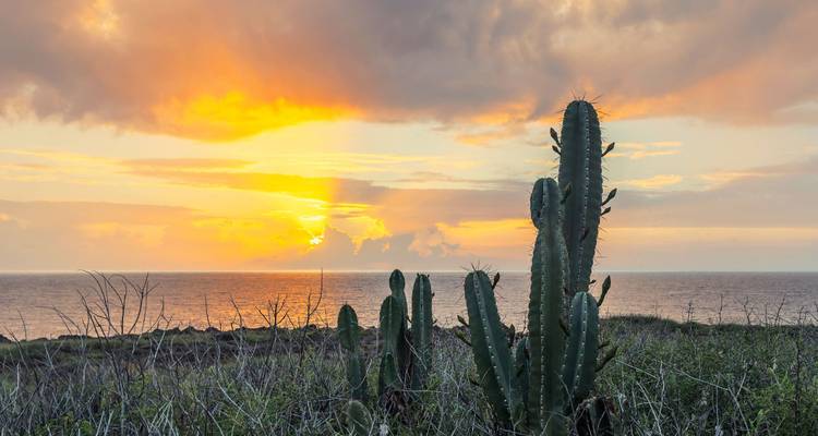 La Réunion : road trip dans l'aventure volcanique - journaway 3