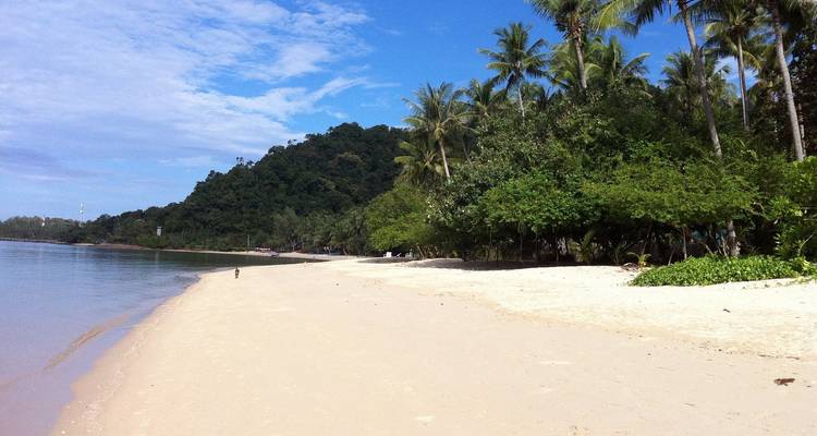 Abgeschiedener Strand mit Palmen und ruhiger See.
