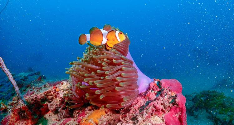 Shopping sur les îles de Thaïlande : la jungle rencontre la plage (24 destinations) - journaway 10