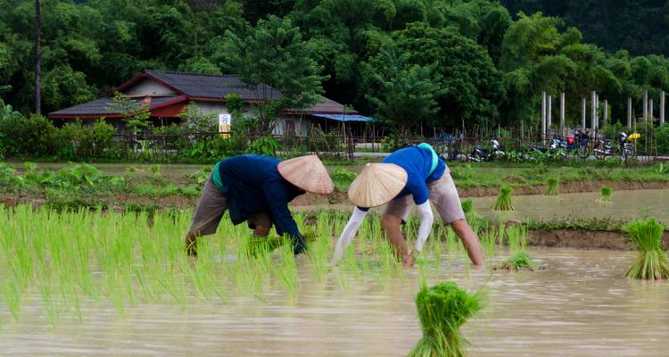 Laos Intense : Gentle Giants & Local Life - journaway DACH 10