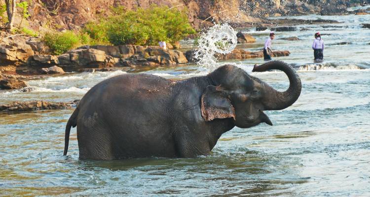 Laos Intense : Gentle Giants & Local Life - journaway DACH 9