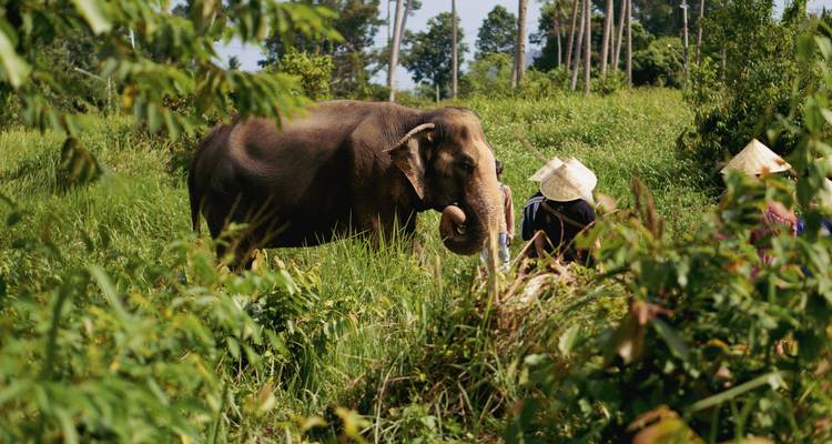 Laos Intense : Gentle Giants & Local Life - journaway DACH 7
