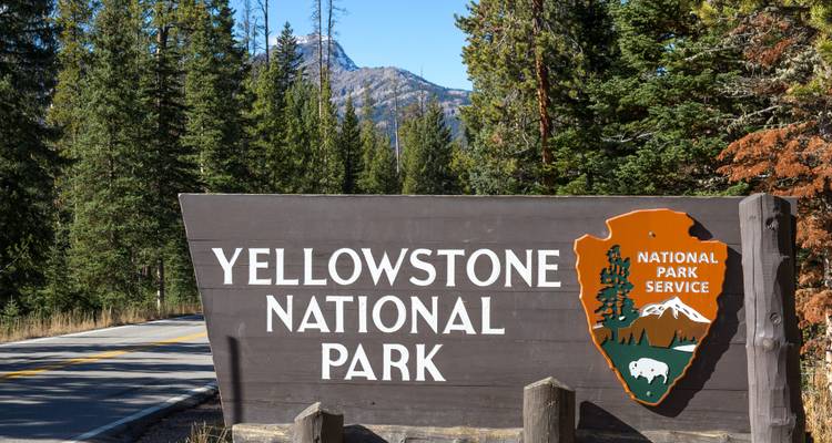 Letrero de entrada al Parque Nacional de Yellowstone con árboles al fondo.