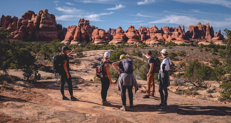 Grupo de excursionistas explorando un paisaje desértico.