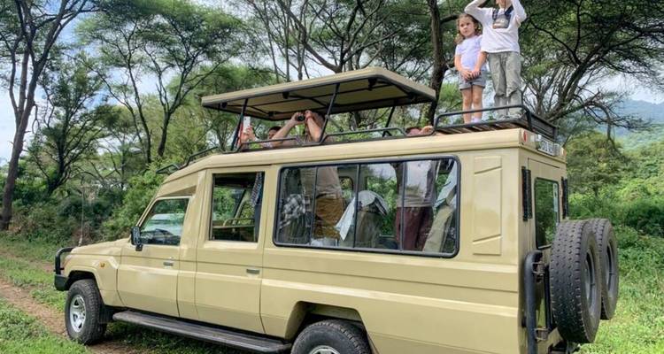 People on a safari vehicle in a green landscape.