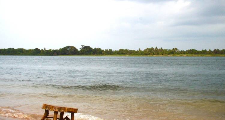 Festival Afrochella Ghana 8Días/7Noches 2024 - Across Africa Tours & Travel 1