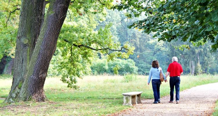 An elderly couple walking hand-in-hand on a scenic tree-lined path.