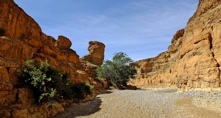 Rotsachtige kloof met schaarse begroeiing onder blauwe hemel