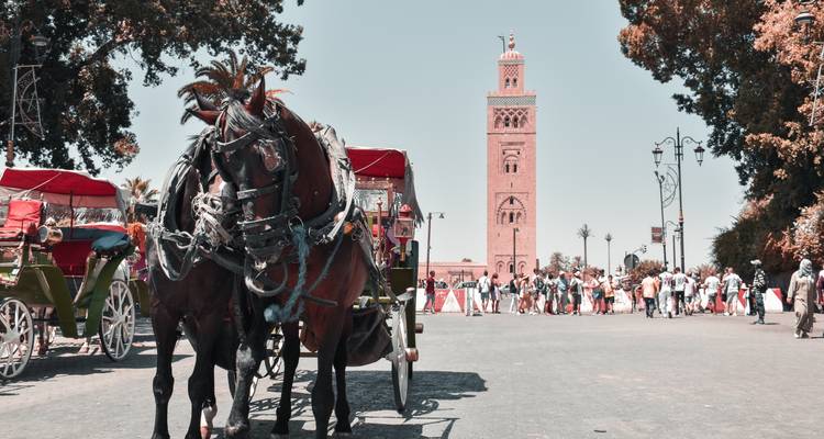 7 Days - Marrakech, Atlas Mountains, Desert and the Beach breeze - Best Travel Morocco 3
