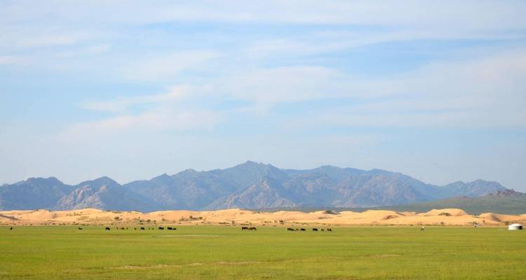 Odyssée mongole : Du Gobi au cœur de la Mongolie - Tengri Tours 8
