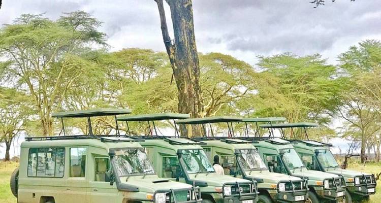 Explore Our 4-Day Tanzania Budget Tour with Reasonable Price 2025 - 2026 - Africa Natural Tours 3