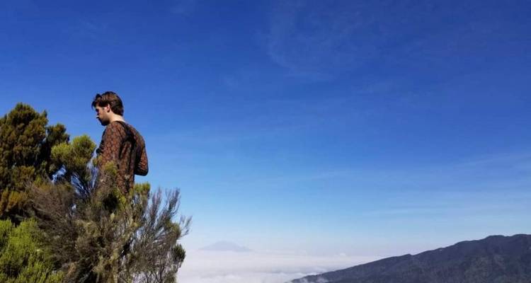 Grupo de Escalada al Monte Kilimanjaro por la Ruta Lemosho 10 Días Tanzania (todo el alojamiento y el transporte están incluidos) - Spider Tours and Safaris 4