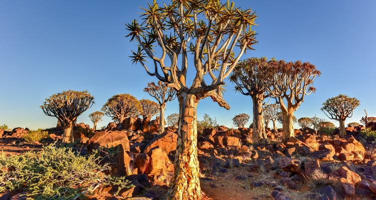 7 jours en Namibie du Sud et Sossusvlei - Safari en camping *DÉPART LE JEUDI - World Adventure Tours 4