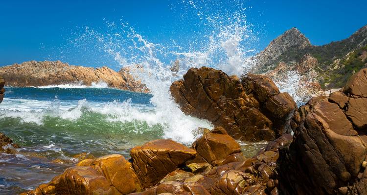 8 Day | Garden Route Adventures Coast to Coast - Timeline Travel DMC 2