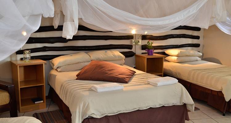 Sossusvlei, Fish River Canyon & Safari camping à Kolmanskop - 6 jours * DÉPART LE VENDREDI - World Adventure Tours 3