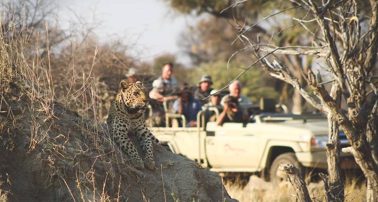 6 Day Etosha, Himba & Skeleton Coast Camping Safari * DEPARTING SATURDAYS - World Adventure Tours 9