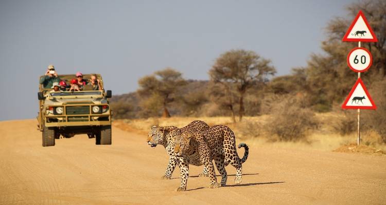 Safari camping de 7 jours dans le nord de la Namibie et sur la côte des Squelettes * DÉPART LE SAMEDI - World Adventure Tours 3