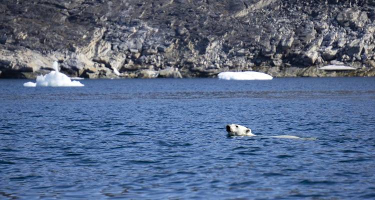 A lo largo de la costa este y sur de la isla más grande del mundo - DIAMIR Erlebnisreisen 4