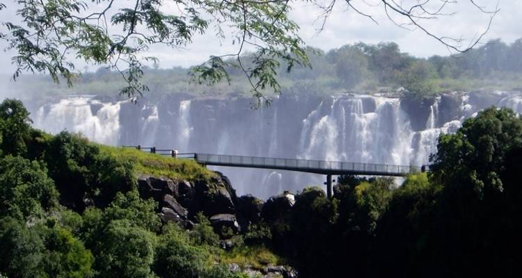 Les six grands - Absolute Africa 1