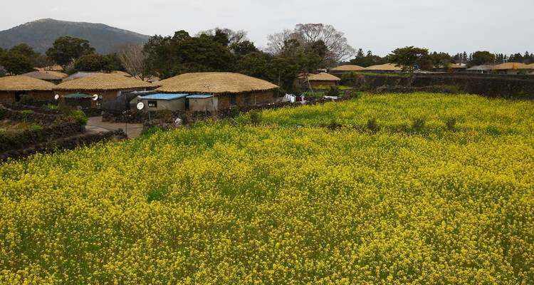 【Corée du Sud】Forfait de 13 jours à Jeju, Séoul et Busan - Delightful Travel 6