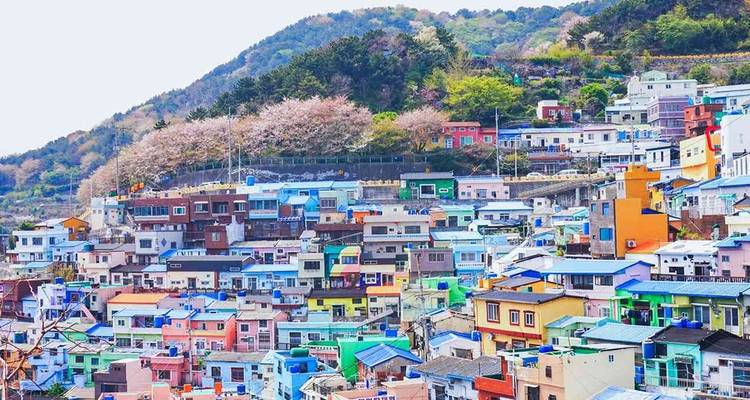 【Corée du Sud】Forfait de 13 jours à Jeju, Séoul et Busan - Delightful Travel 9