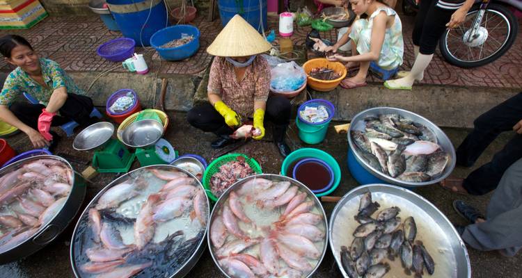 Lo mejor de Vietnam en 11 días - Accesible en silla de ruedas - Maika Tours 6