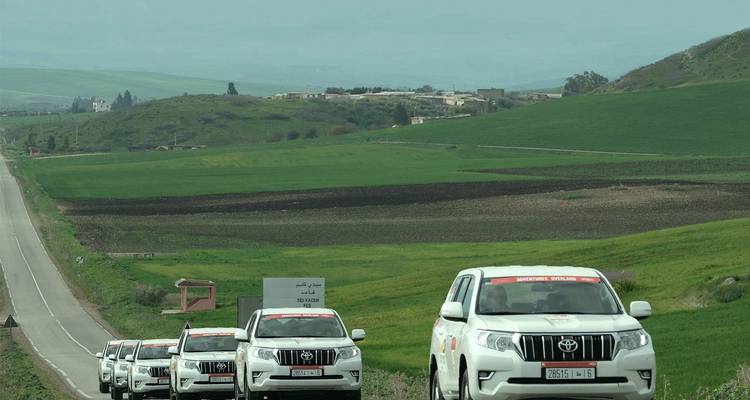 SUV's op een rij op een weg door groene velden.