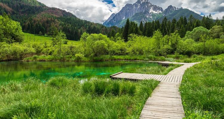 Belle scène d'une passerelle en bois au-dessus d'une zone humide d'un vert éclatant avec un arrière-plan montagneux.