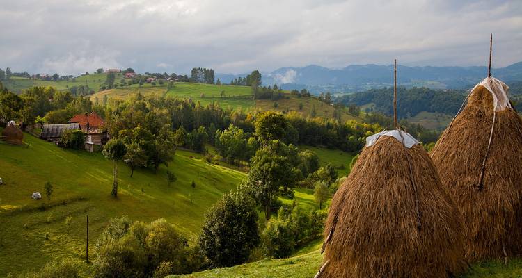 Traditionelle Heuhaufen mit Blick auf ein Flickenteppich-Muster der grünen rumänischen Landschaft und entfernte Dörfer.