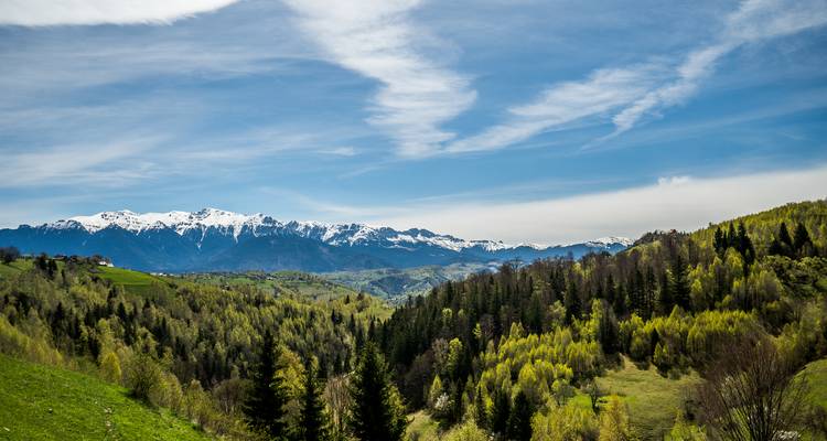 Weitläufige Aussicht auf bewaldete Ausläufer, die sich zu einer schneebedeckten Bergkette unter einem streifigen blauen Himmel erstrecken.