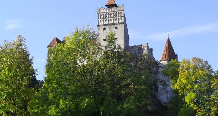 Teilansicht von Schloss Bran, das über grünen, belaubten Bäumen unter klarem Himmel aufragt.