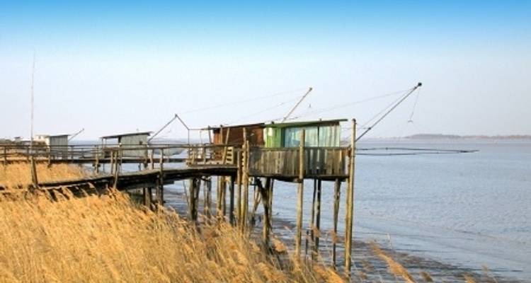 Festival d'automne : Histoire, vin et patrimoine sur les rivières du sud-ouest de la France - CroisiEurope River Cruises 4