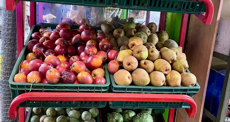 4 días Medellín, Guatape, Café y Más - BnB Colombia Tours 6
