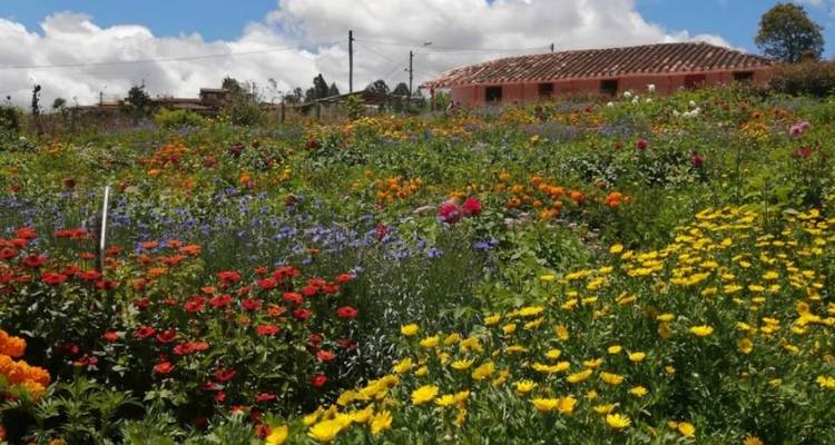 4 días Medellín, Guatape, Café y Más - BnB Colombia Tours 10