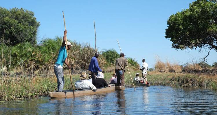 Un guide local propulse une pirogue mokoro traditionnelle transportant des voyageurs à travers les roseaux du Delta de l'Okavango.