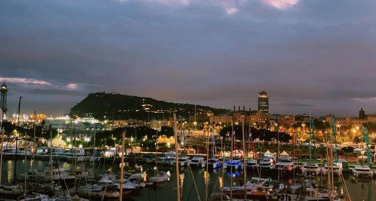 Vue panoramique d'un port de plaisance avec des bateaux pendant la soirée.