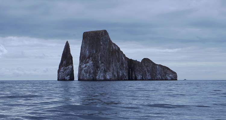 Ruta de los tiburones de Galápagos - Galapagos Path 1