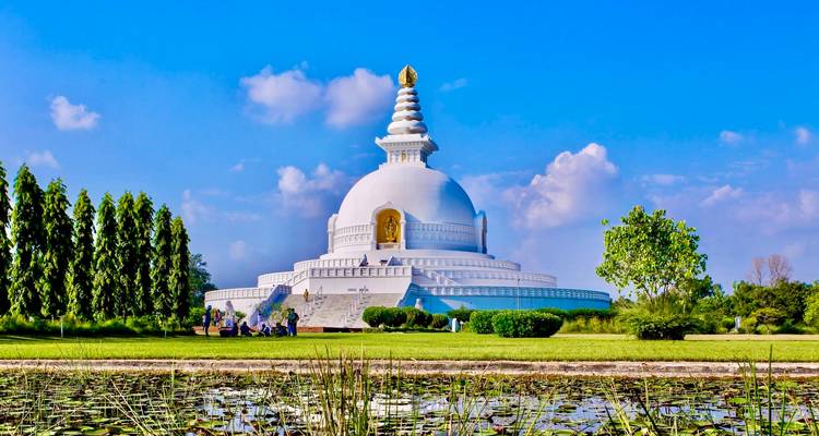 Pagoda de la Paz rodeada de vegetación.