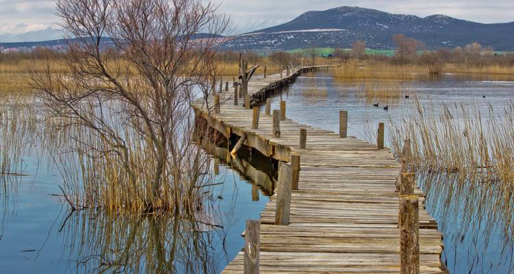 Le meilleur de la région de Zadar - Vacances à vélo autoguidées - 8 jours - zzuum 4