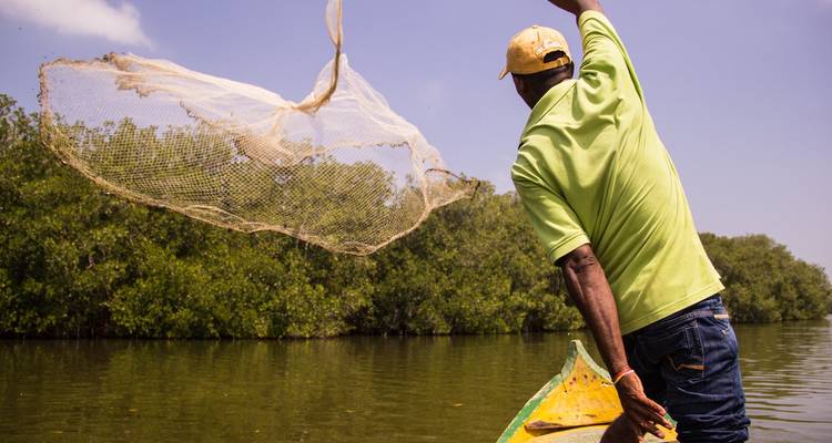 Lo más destacado de Colombia con HEART - Impulse Travel 2