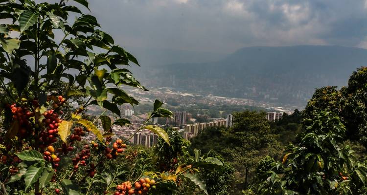 Lo más destacado de Colombia con HEART - Impulse Travel 3