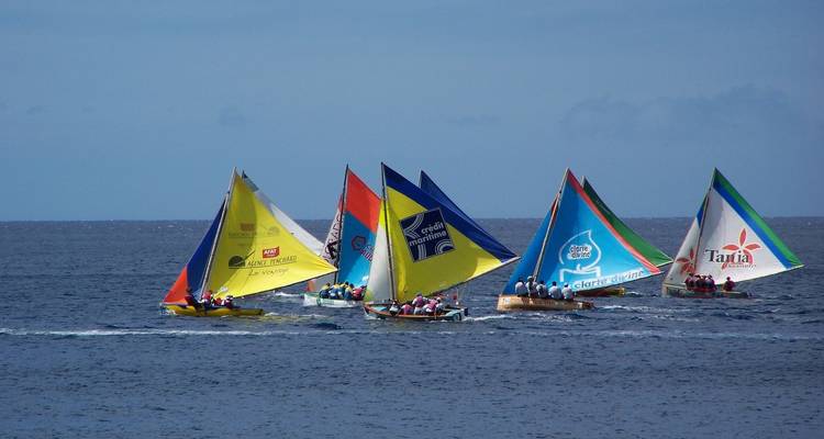 Une régate avec des voiliers colorés qui font la course sur l'océan.
