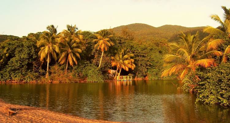Palmiers se reflétant sur un petit lac au coucher du soleil.