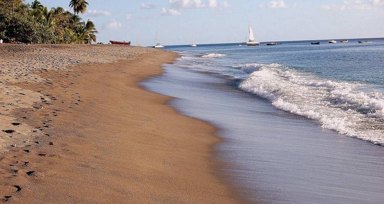 Exploring the Wonders of Martinique 8Days/7nights - Across Caribbean Excursions  3