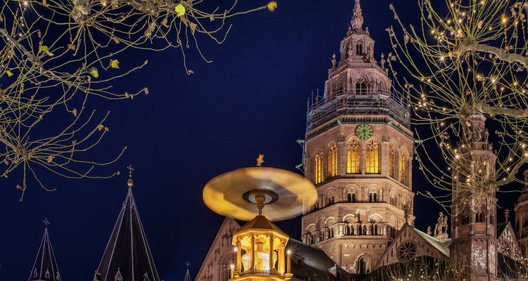 Torre de catedral gótica iluminada y carrusel del mercado navideño enmarcados por ramas desnudas contra un cielo oscuro.