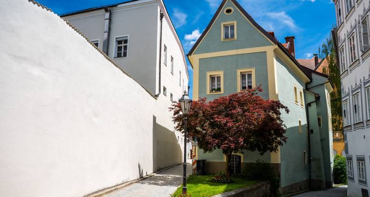 Calle empedrada silenciosa entre casas de colores pastel con un árbol frondoso contra un cielo azul vívido.